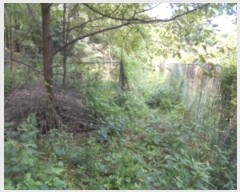  2022Ÿ5406   浿 473       (1)