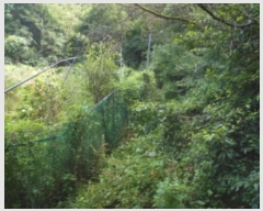  2022Ÿ5406   浿 473       (1)