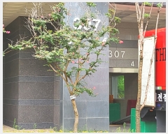  2022Ÿ��107883 ���� ������ �����߾ӷ� 99, 307�� 16��1604ȣ (��굿,�����׶���������������Ʈ)    ����Ʈ���