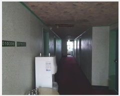  2022Ÿ��18306  ���ڽü����