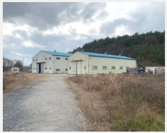  2022Ÿ3519 泲 ɽ õϸ  185-1      