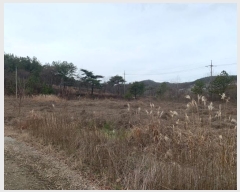  2022Ÿ3519 泲 ɽ õϸ  185-1      