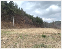  2022Ÿ3519 泲 ɽ õϸ  185-1      