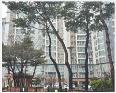  2022Ÿ��101563 �泲 õ�Ƚ� ������ õ��õ����3�� 5-31, 102�� 3��306ȣ (�ٰ���,���ر׶�������Ʈ)   ����Ʈ���