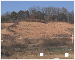  2022Ÿ5214 泲 õȽ ϱ   390-6     (Ӿ)