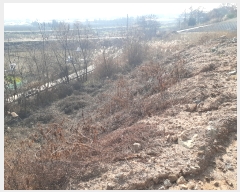  2022Ÿ5214 泲 õȽ ϱ   390-6     (Ӿ)