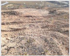  2022Ÿ5214 泲 õȽ ϱ   390-6     (Ӿ)