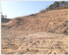  2022Ÿ5214 泲 õȽ ϱ   390-6     (Ӿ)