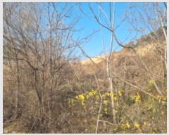  2022Ÿ5214 泲 õȽ ϱ   390-6     (Ӿ)