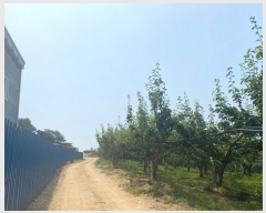  2022Ÿ��2734 �泲 �ƻ�� ���ָ� �ؾϸ� 13-8      ����(�Ӿ�)���