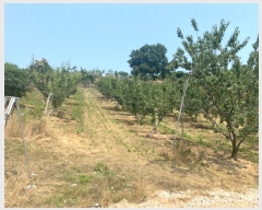  2022Ÿ��2734 �泲 �ƻ�� ���ָ� �ؾϸ� 13-8      ����(�Ӿ�)���