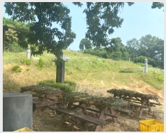  2022Ÿ��2734 �泲 �ƻ�� ���ָ� �ؾϸ� 13-8      ����(�Ӿ�)���