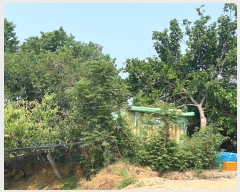  2022Ÿ��2734 �泲 �ƻ�� ���ָ� �ؾϸ� 13-8      ����(�Ӿ�)���