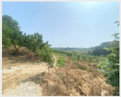  2022Ÿ��2734 �泲 �ƻ�� ���ָ� �ؾϸ� 13-8      ����(�Ӿ�)���