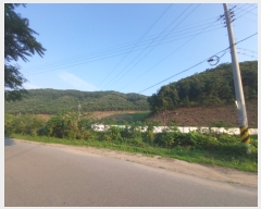  2022Ÿ��786 �泲 ���ֽ� ������ ��� ��25      ����(�Ӿ�)���