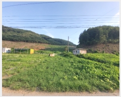  2022Ÿ��786 �泲 ���ֽ� ������ ��� ��25      ����(�Ӿ�)���