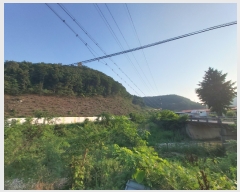  2022Ÿ��786 �泲 ���ֽ� ������ ��� ��25      ����(�Ӿ�)���