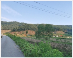  2022Ÿ��786 �泲 ���ֽ� ������ ��� ��25      ����(�Ӿ�)���