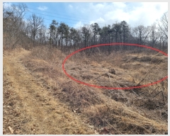  2022Ÿ��529 �泲 ������ ����� �ʴ븮 469-2      ����(��)���