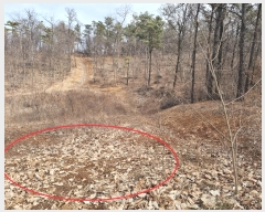  2022Ÿ��529 �泲 ������ ����� �ʴ븮 469-2      ����(��)���