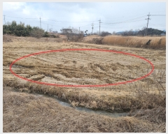  2022Ÿ��529 �泲 ������ ����� �ʴ븮 469-2      ����(��)���