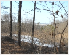  2022Ÿ��529 �泲 ������ ����� �ʴ븮 469-2      ����(��)���