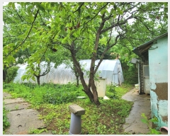  2022Ÿ��2983 �泲 �¾ȱ� �ȸ��� ���縮 268      ����(��1)���