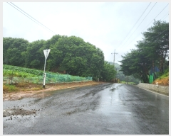  2022Ÿ��2983 �泲 �¾ȱ� �ȸ��� ���縮 268      ����(��1)���