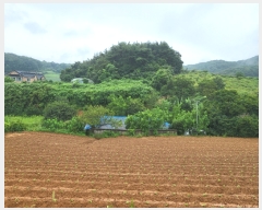  2022Ÿ��2983 �泲 �¾ȱ� �ȸ��� ���縮 268      ����(��1)���