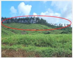  2022Ÿ��3092 �泲 �¾ȱ� ���ϸ� �̰ ��115-2      ����(�Ӿ�)���