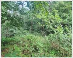  2022Ÿ��3092 �泲 �¾ȱ� ���ϸ� �̰ ��115-2      ����(�Ӿ�)���