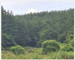  2022Ÿ��3092 �泲 �¾ȱ� ���ϸ� �̰ ��115-2      ����(�Ӿ�)���