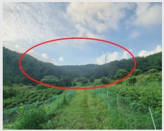  2022Ÿ��3092 �泲 �¾ȱ� ���ϸ� �̰ ��115-2      ����(�Ӿ�)���