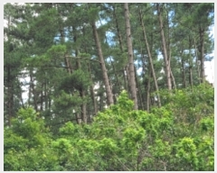  2022Ÿ��3092 �泲 �¾ȱ� ���ϸ� �̰ ��115-2      ����(�Ӿ�)���