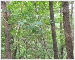  2022Ÿ��3092 �泲 �¾ȱ� ���ϸ� �̰ ��115-2      ����(�Ӿ�)���