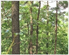  2022Ÿ��3092 �泲 �¾ȱ� ���ϸ� �̰ ��115-2      ����(�Ӿ�)���