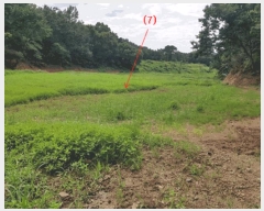  2022Ÿ��2617 �泲 ����� �ع̸� ���и� 16      ����(��1)���