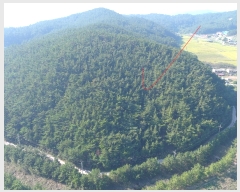  2022Ÿ3566 泲 ¾ȱ ϸ Ȳ̸ 534-1      (Ӿ)