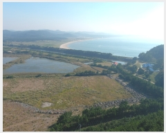  2022Ÿ3566 泲 ¾ȱ ϸ Ȳ̸ 534-1      (Ӿ)