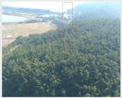  2022Ÿ3566 泲 ¾ȱ ϸ Ȳ̸ 534-1      (Ӿ)