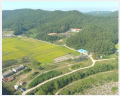  2022Ÿ3566 泲 ¾ȱ ϸ Ȳ̸ 534-1      (Ӿ)