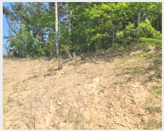  2022Ÿ��52469 �泲 �¾ȱ� ���ϸ� �氥�� ��183-1      ����(�Ӿ�)���