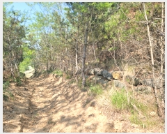  2022Ÿ��52469 �泲 �¾ȱ� ���ϸ� �氥�� ��183-1      ����(�Ӿ�)���