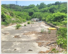  2022Ÿ��52469 �泲 �¾ȱ� ���ϸ� �氥�� ��183-1      ����(�Ӿ�)���