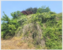  2022Ÿ��52469 �泲 �¾ȱ� ���ϸ� �氥�� ��183-1      ����(�Ӿ�)���