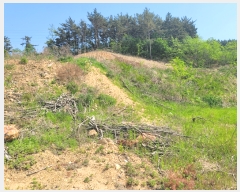  2022Ÿ��52469 �泲 �¾ȱ� ���ϸ� �氥�� ��183-1      ����(�Ӿ�)���