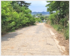  2022Ÿ52636 泲    966-64 ̵     ٰð