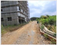  2022Ÿ52636 泲    966-64 ̵     ٰð