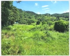  2022Ÿ54182 泲  ̸ Žø 262-2      (1)