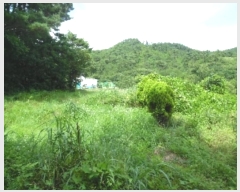  2022Ÿ54182 泲  ̸ Žø 262-2      (1)